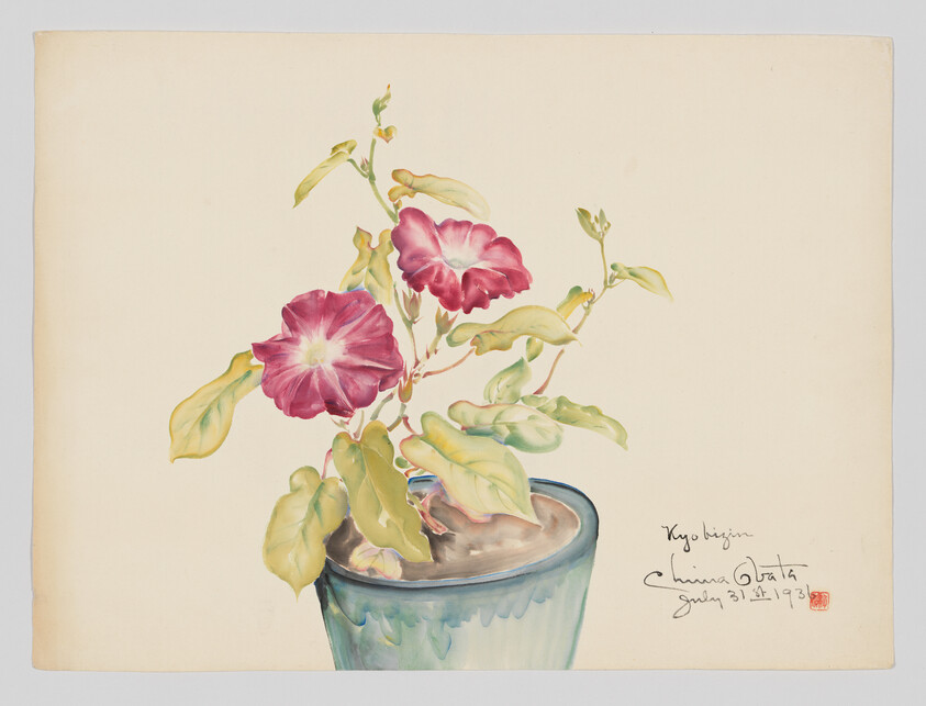 A watercolor painting of a potted plant with two pink morning-glory flowers and green leaves.