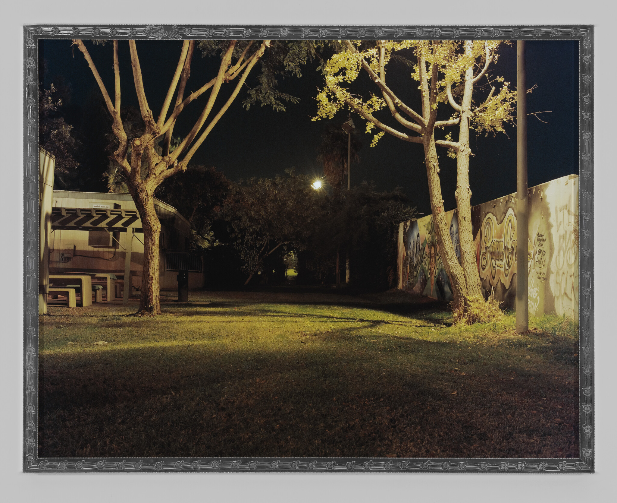 Two trees and a lit pathway beside a graffiti-covered wall at night.