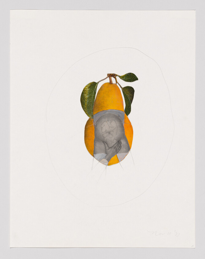 A pear with leaves features a grayscale drawing of a fetus inside, blending nature and human life.