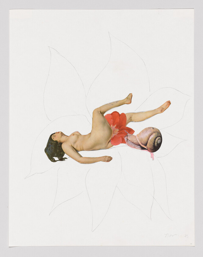 A person lies on a flower with a snail shell, surrounded by faint petal outlines.