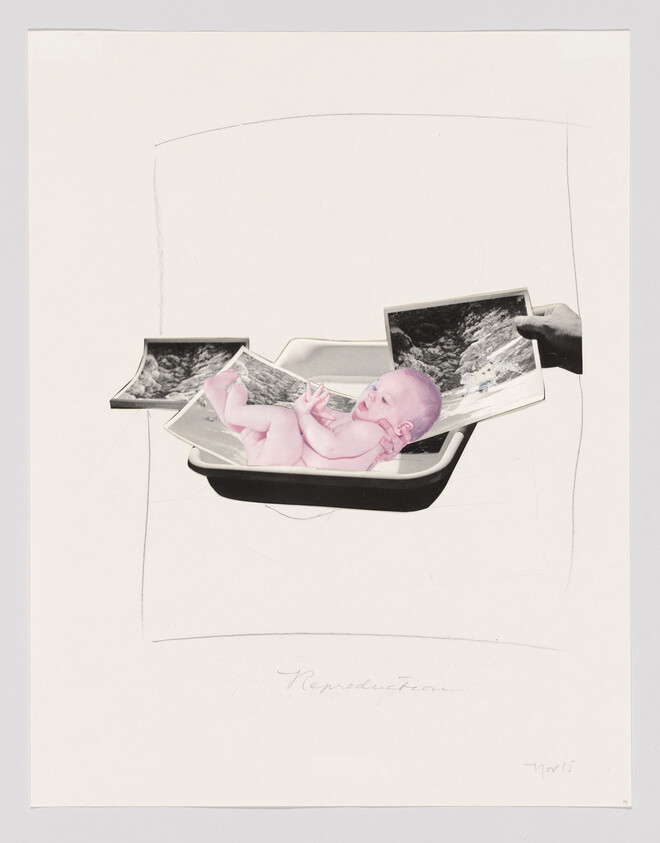 A baby lies on a photo in a tray, with hands holding another photo nearby.