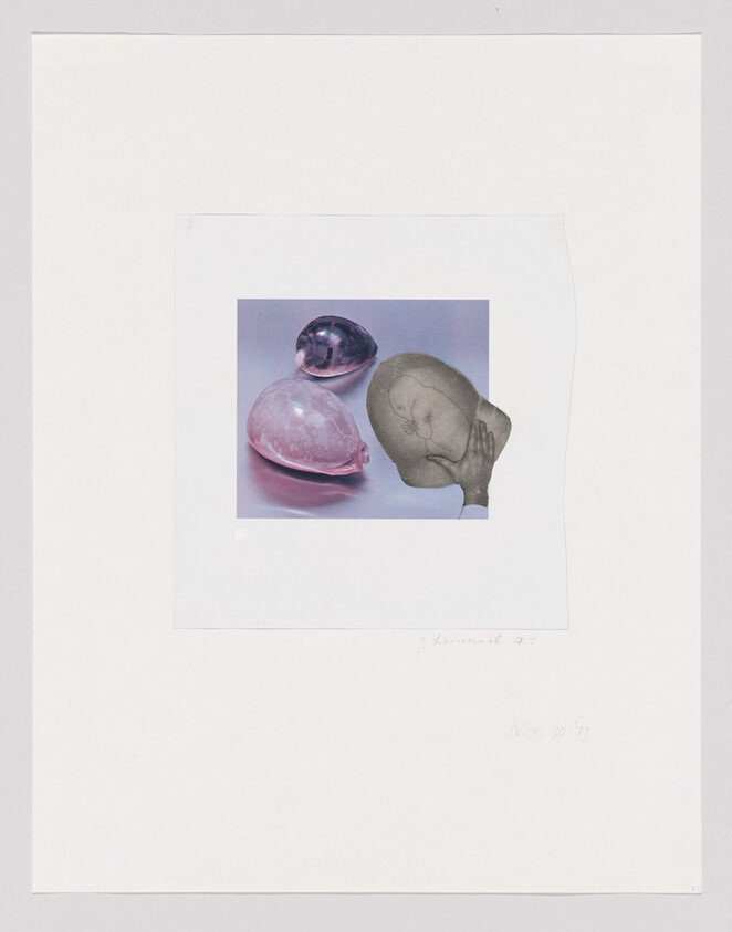 Two pink and purple shells next to a grayscale drawing of a sleeping baby.