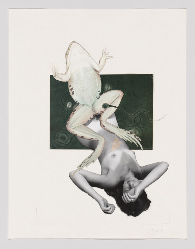 Surreal artwork of a frog's body with a woman's head, arms, and torso, against a green patterned background.