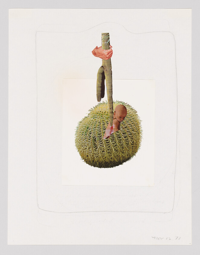 A baby is nestled inside a large cactus, with a hand holding the cactus stem.