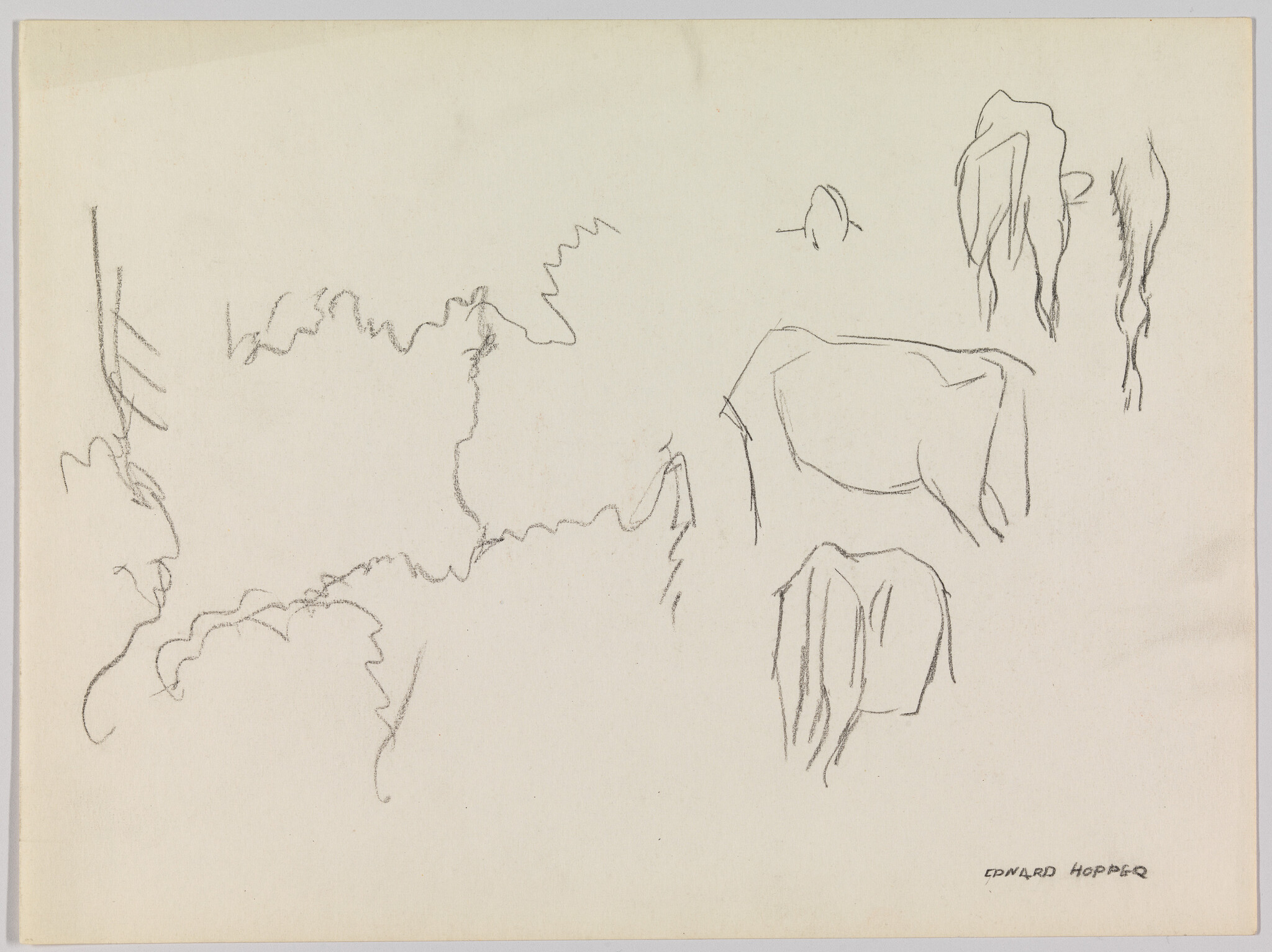 Loose pencil sketches of two cows and abstract tree shapes on blank paper.