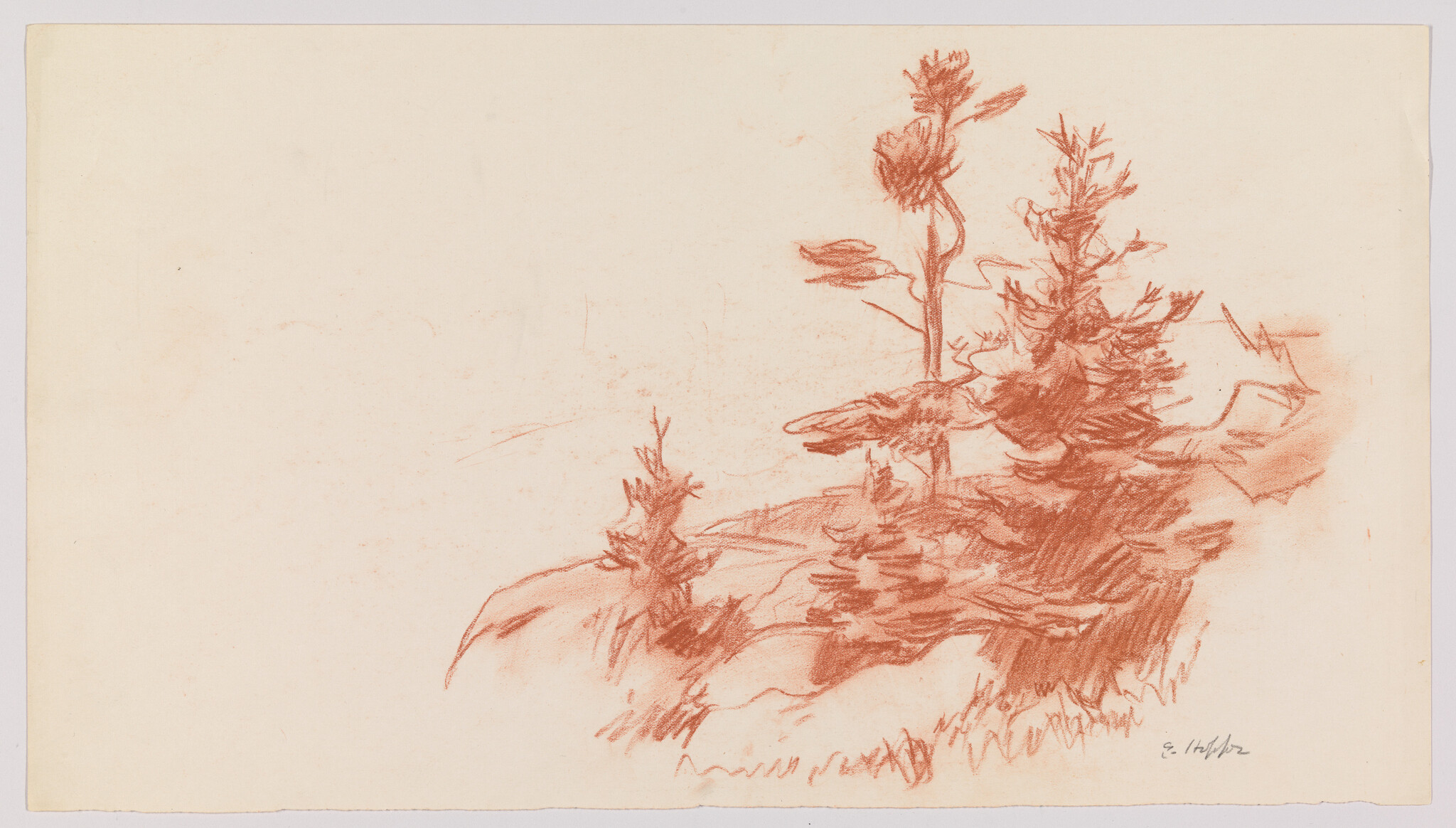 Cluster of small pine trees sketched in red chalk on a rocky hillside.