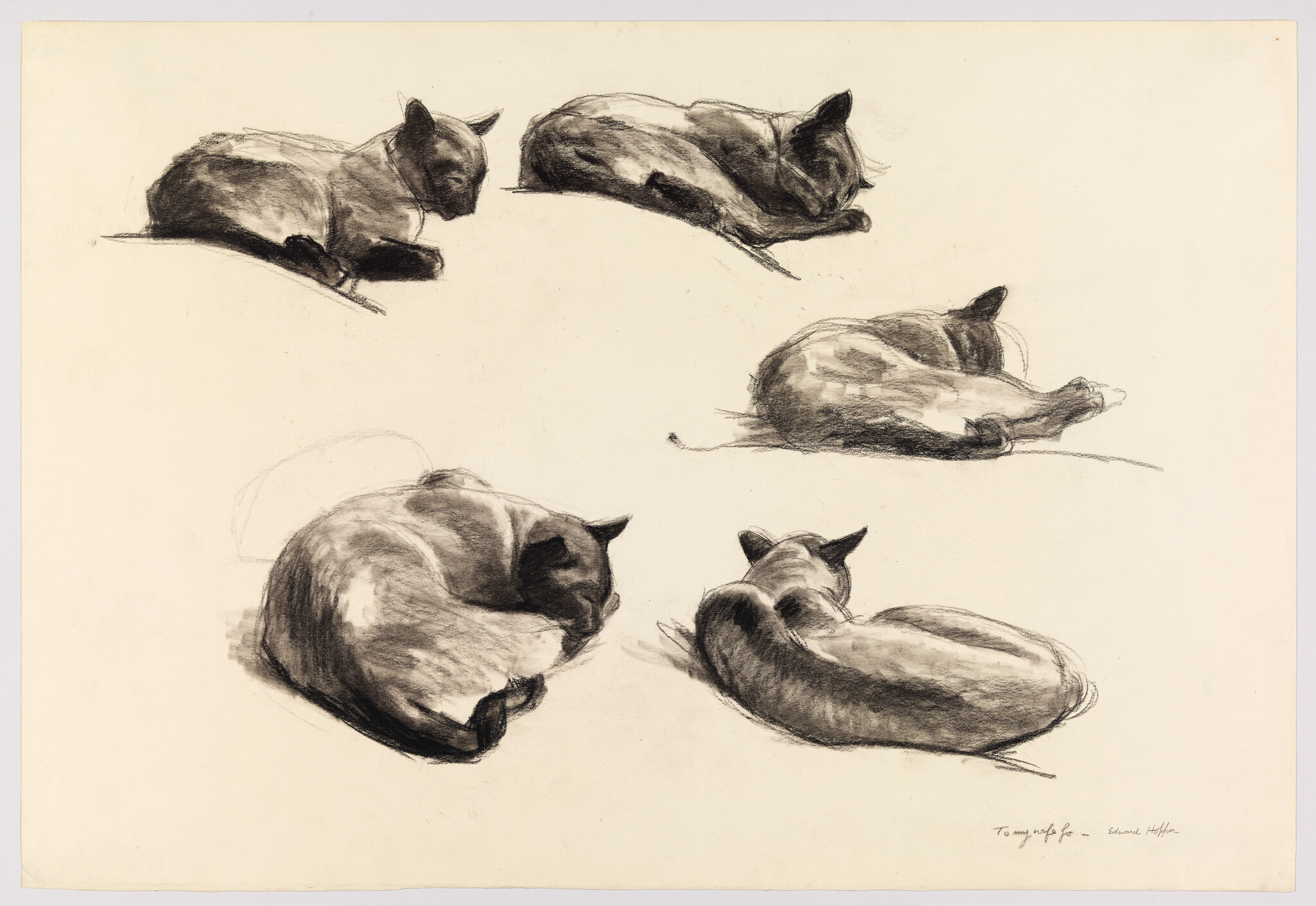 Five charcoal sketches of sleeping cats curled up in different resting positions.