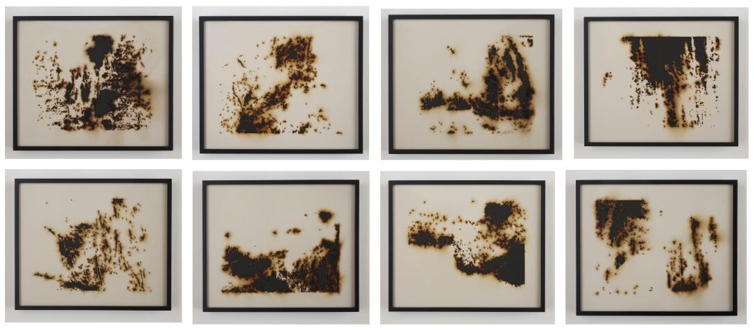 Eight framed artworks show irregular dark scorch marks and burn patterns on cream backgrounds.