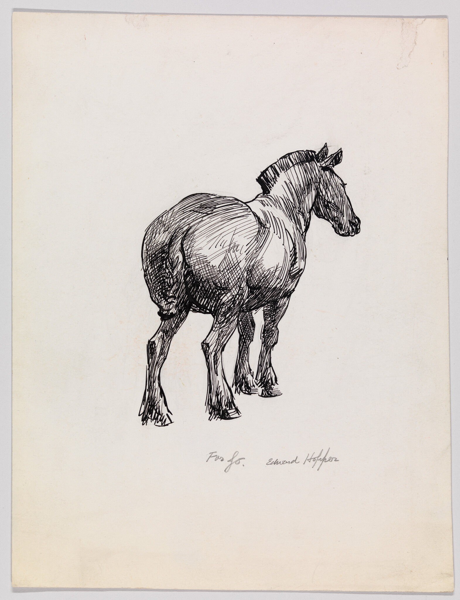 A pen-and-ink sketch of a horse standing with its rear and head turned slightly.