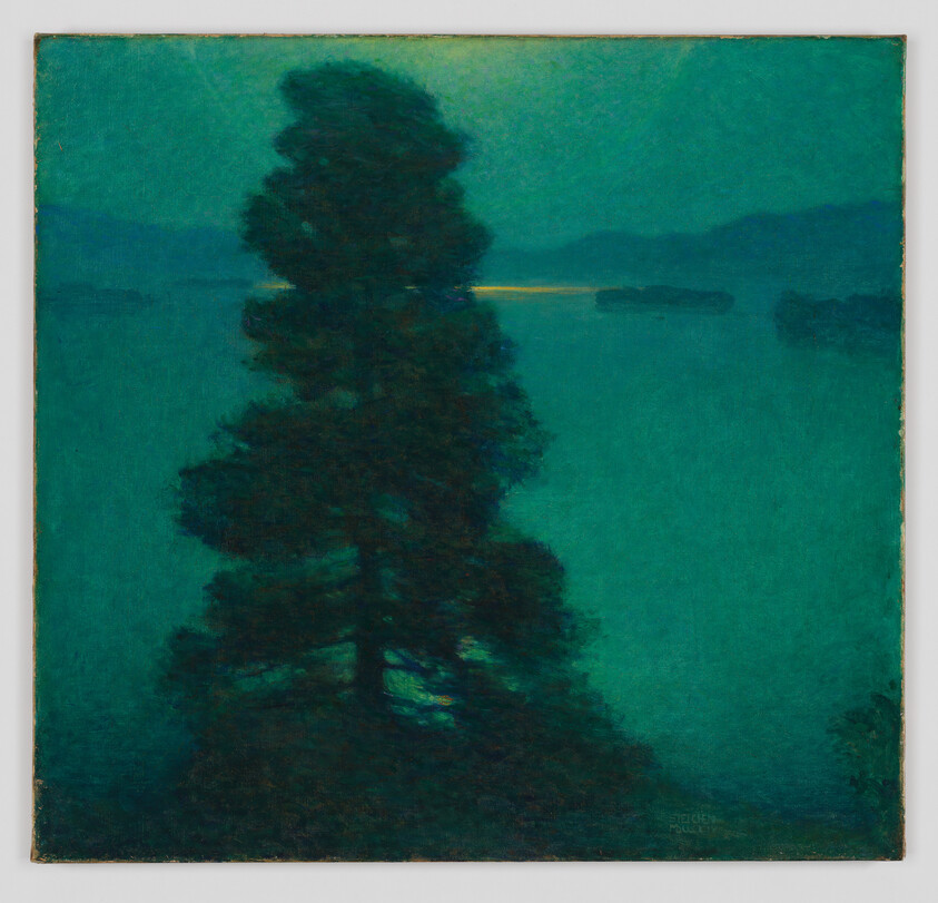 A tall dark tree silhouette stands by a teal lake at dusk with a distant strip of light.