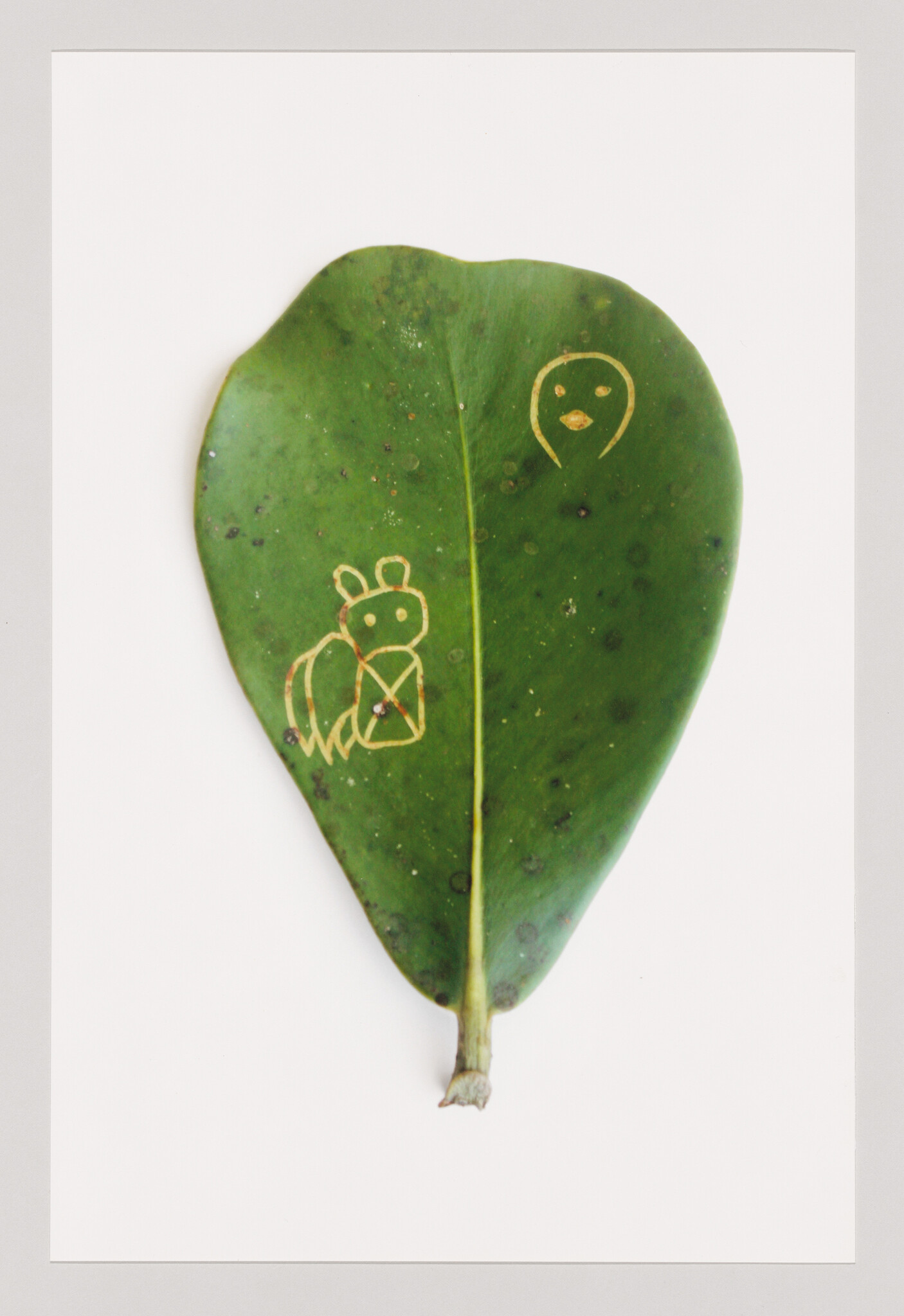 A green heart-shaped leaf with two small carved golden doodles of an animal and a face.