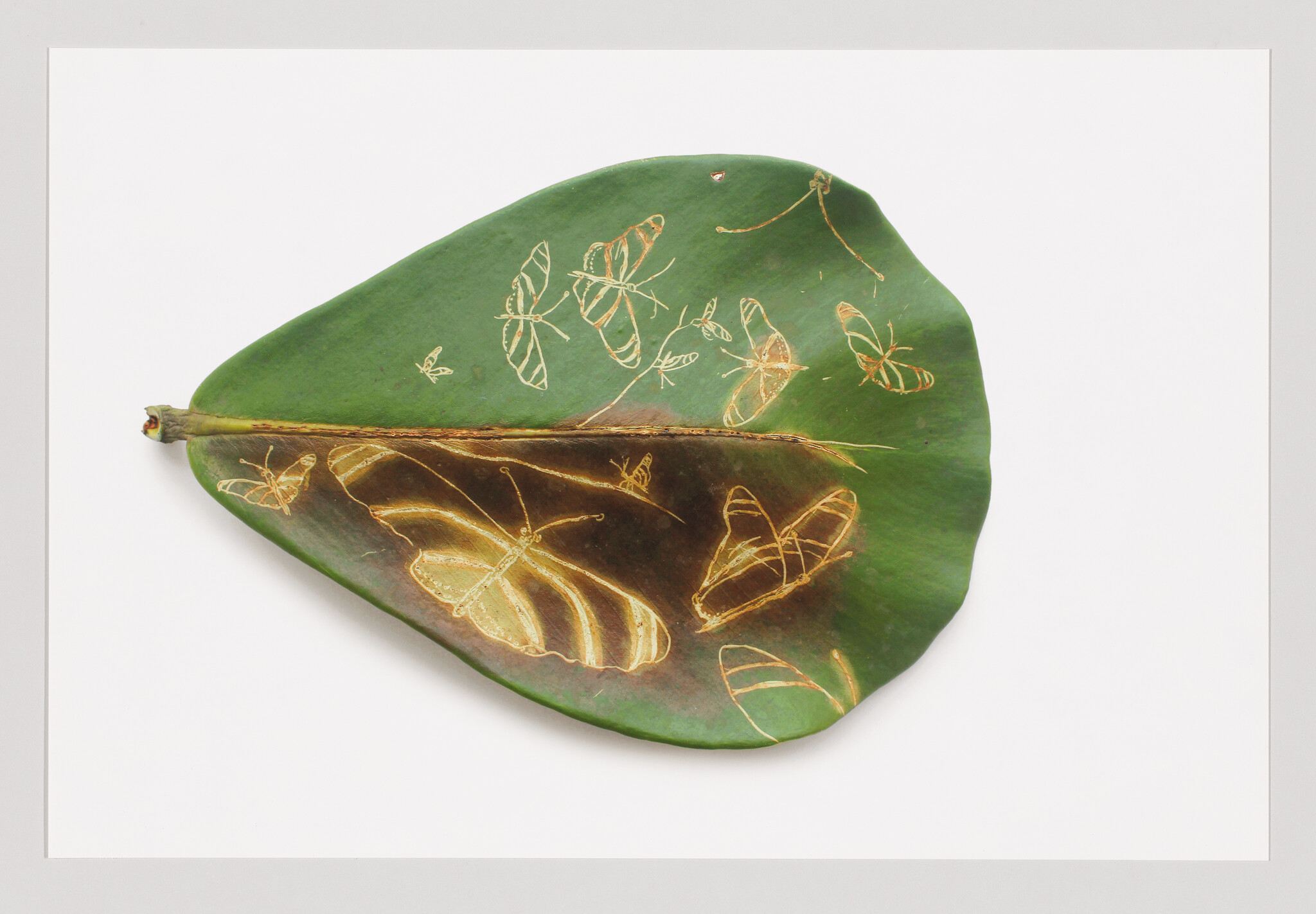 A green leaf with golden butterfly and insect shapes etched across its surface.