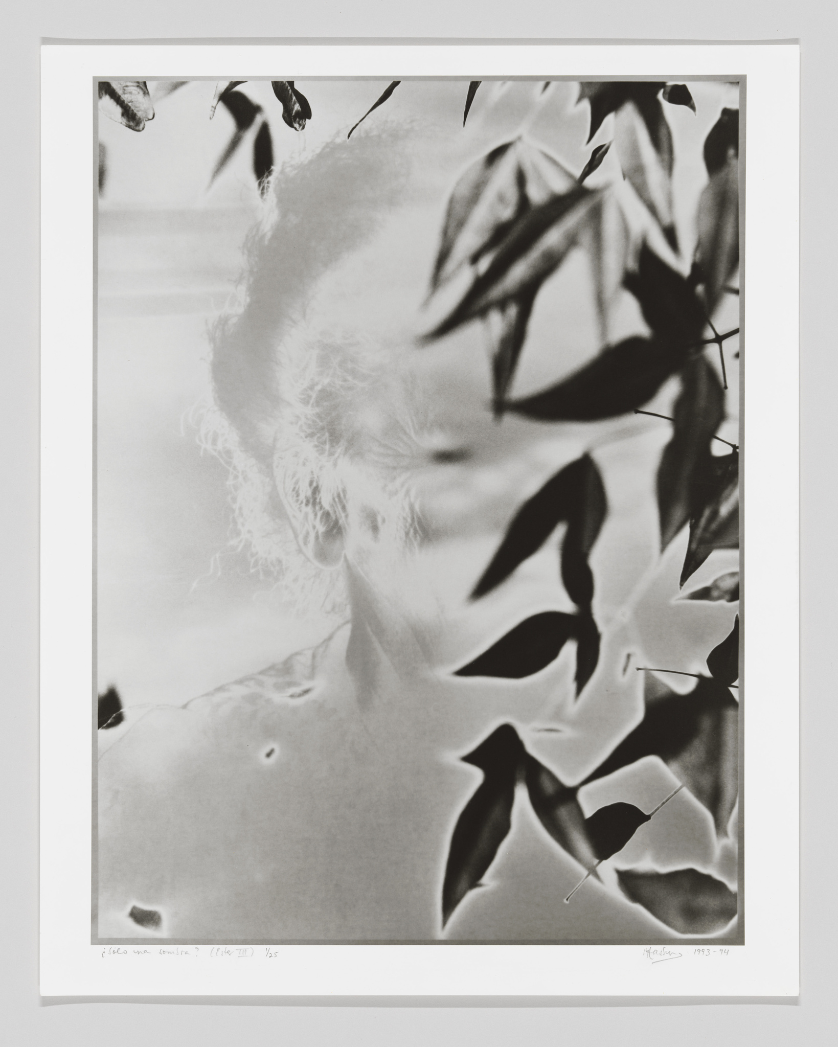 The ghostly image of an older person with dark leaves superimposed on top.