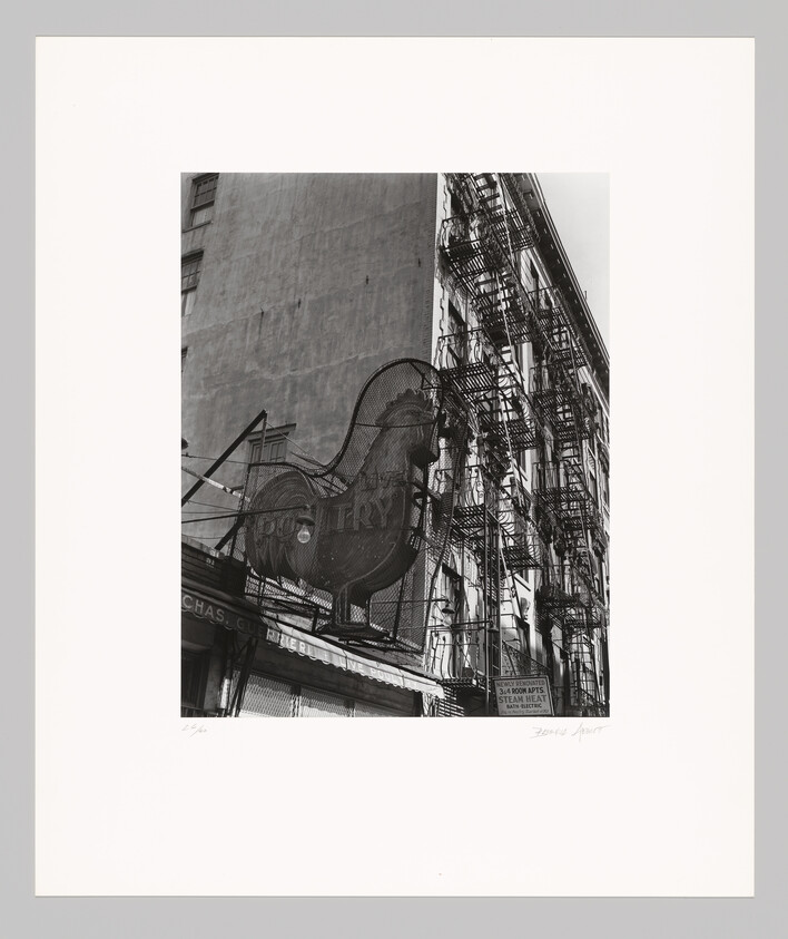 Large vintage rooster sign hangs above a city storefront next to a building with metal fire escapes.