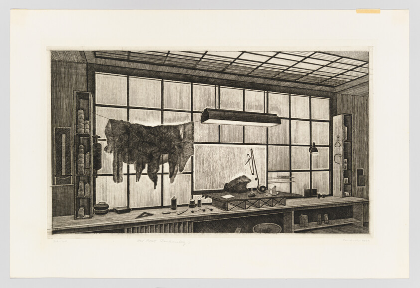 A workshop with a large animal hide hanging by a window and tools on the workbench.