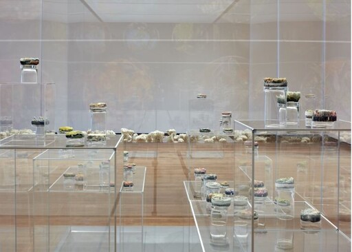 Small glass jars with layered materials are displayed on clear acrylic pedestals in a gallery.