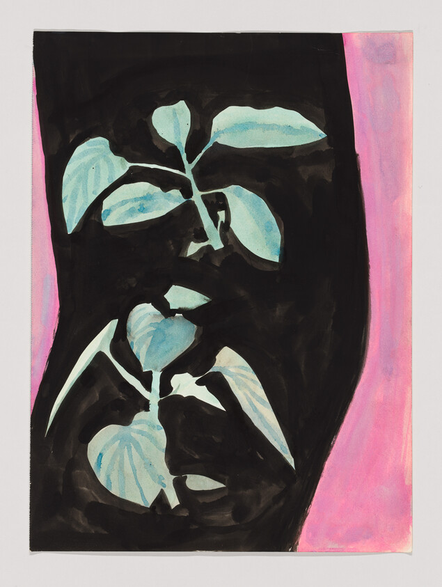 A blue-green plant silhouette sits against a deep black background with a pink border.