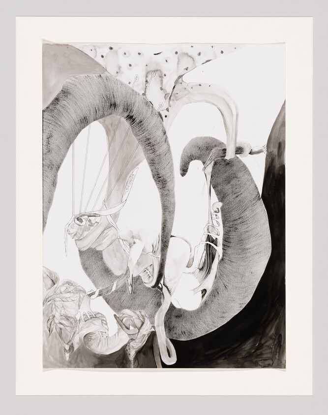 Large abstract grayscale drawing showing looping horn-like shapes and entwined organic forms.