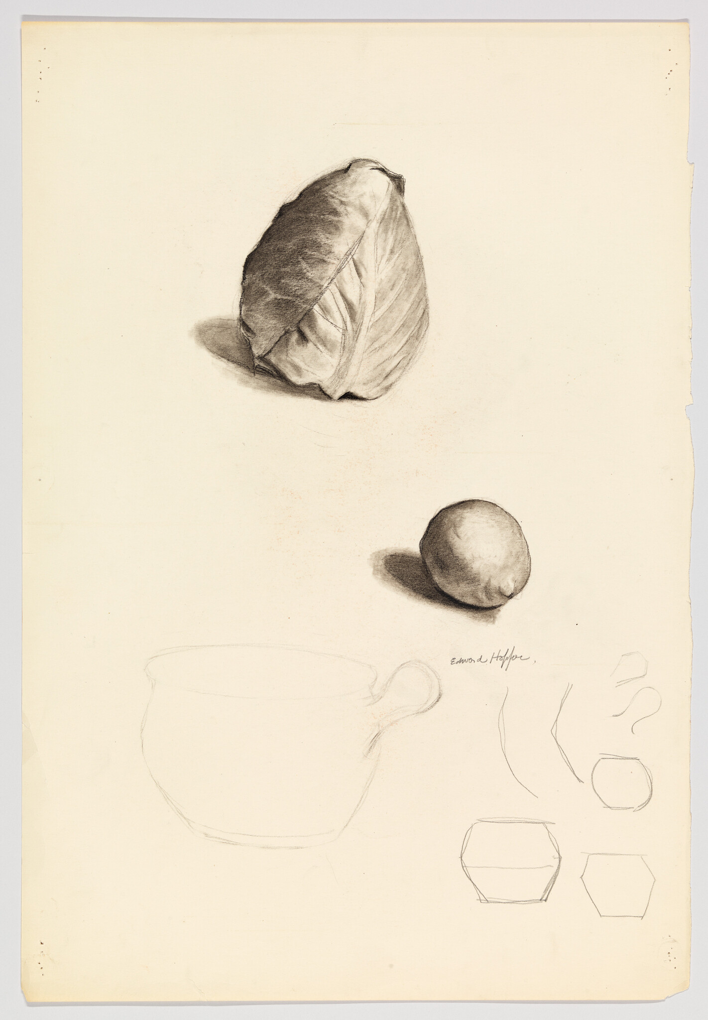 Charcoal still-life studies showing a cabbage and lemon with faint cup and shape sketches.