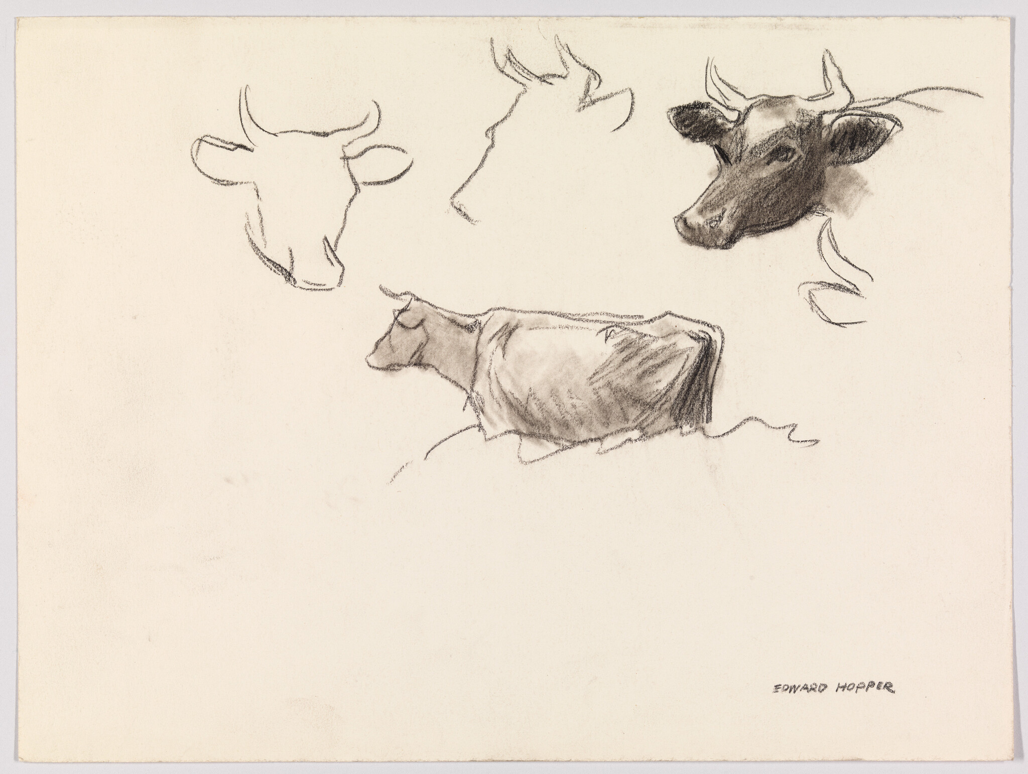 Several charcoal sketches of cows showing heads and a standing cow, signed Edward Hopper.