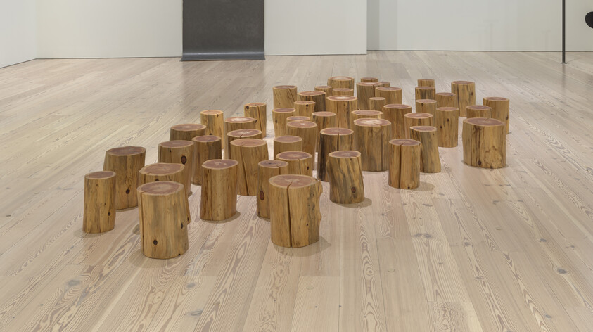 Multiple short wooden stumps are arranged in a loose grid on a light gallery floor.