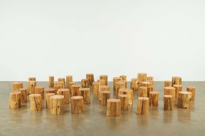 Dozens of wooden stumps arranged on a smooth concrete floor against a plain white wall.