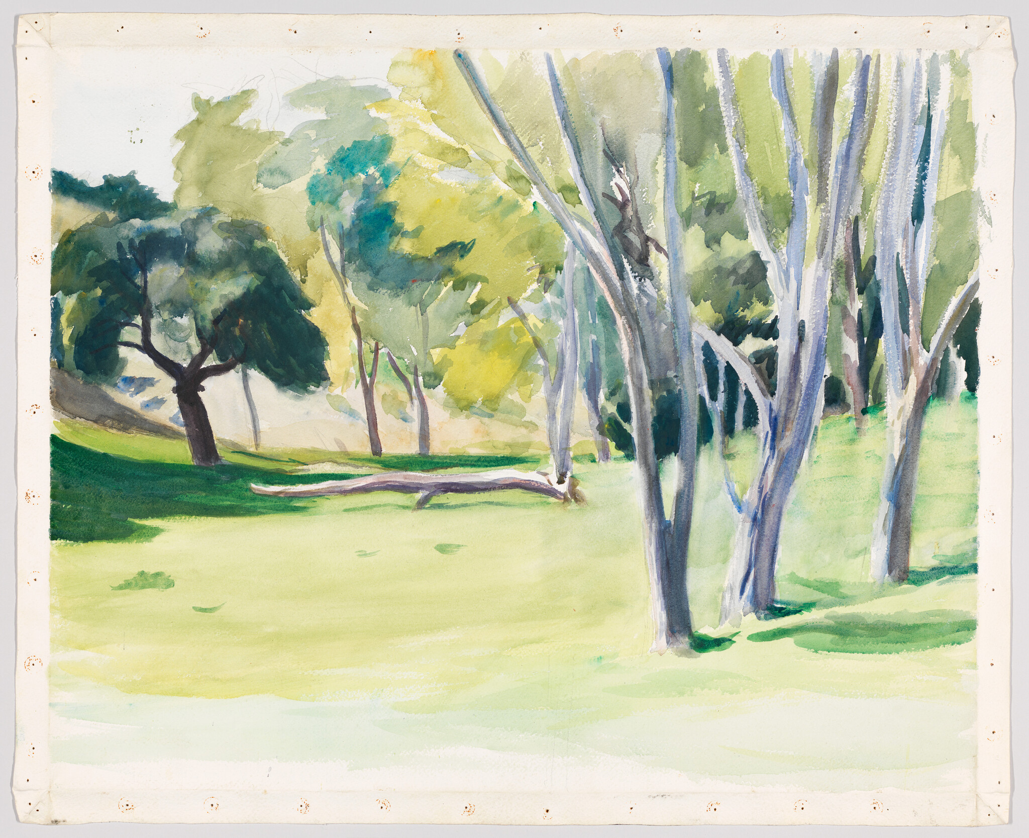 Sunlit grassy clearing with a stand of trees and a fallen log.