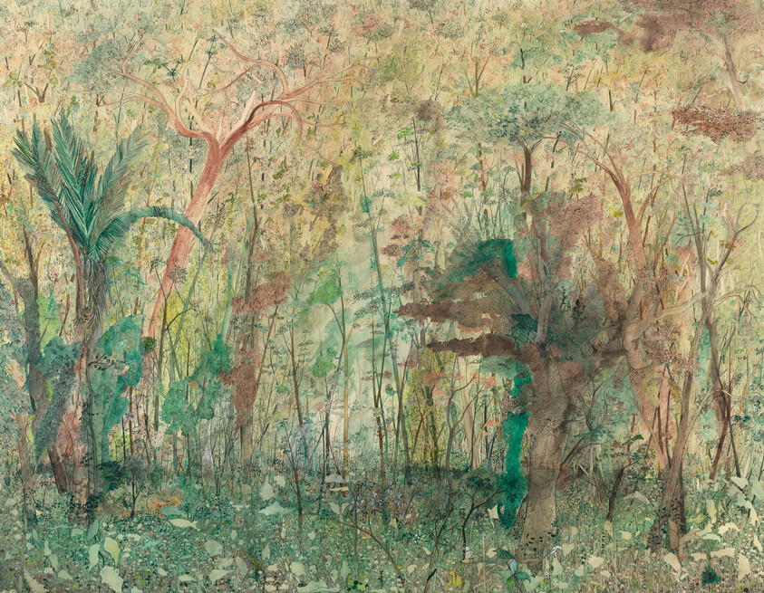 Dense green and brown forest with thin trees and undergrowth in a soft, detailed watercolor style.