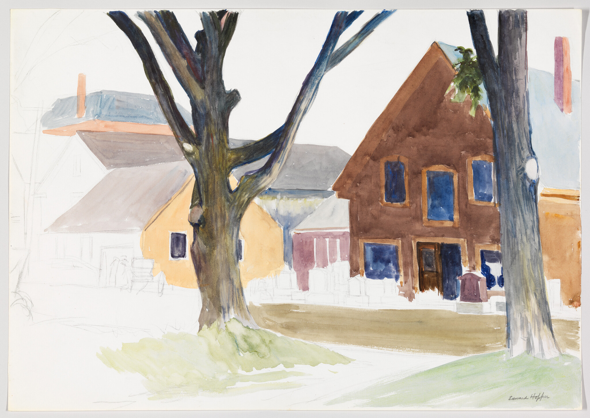 Two large trees stand in front of houses, including a brown house with blue windows.