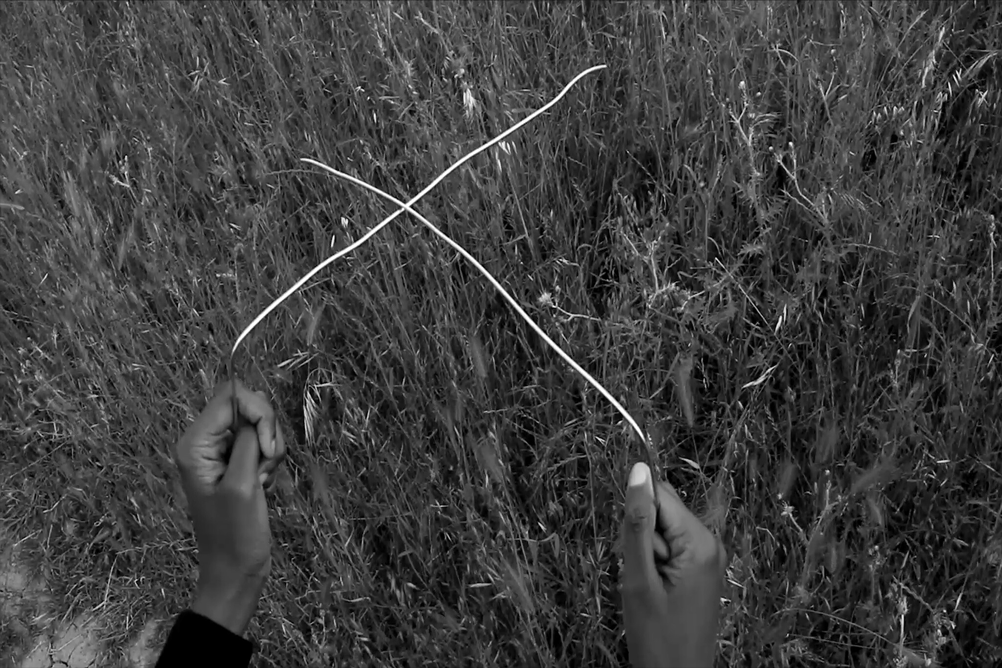 Two hands hold bent wires crossed in an X shape over tall grass, possibly for dowsing or searching.