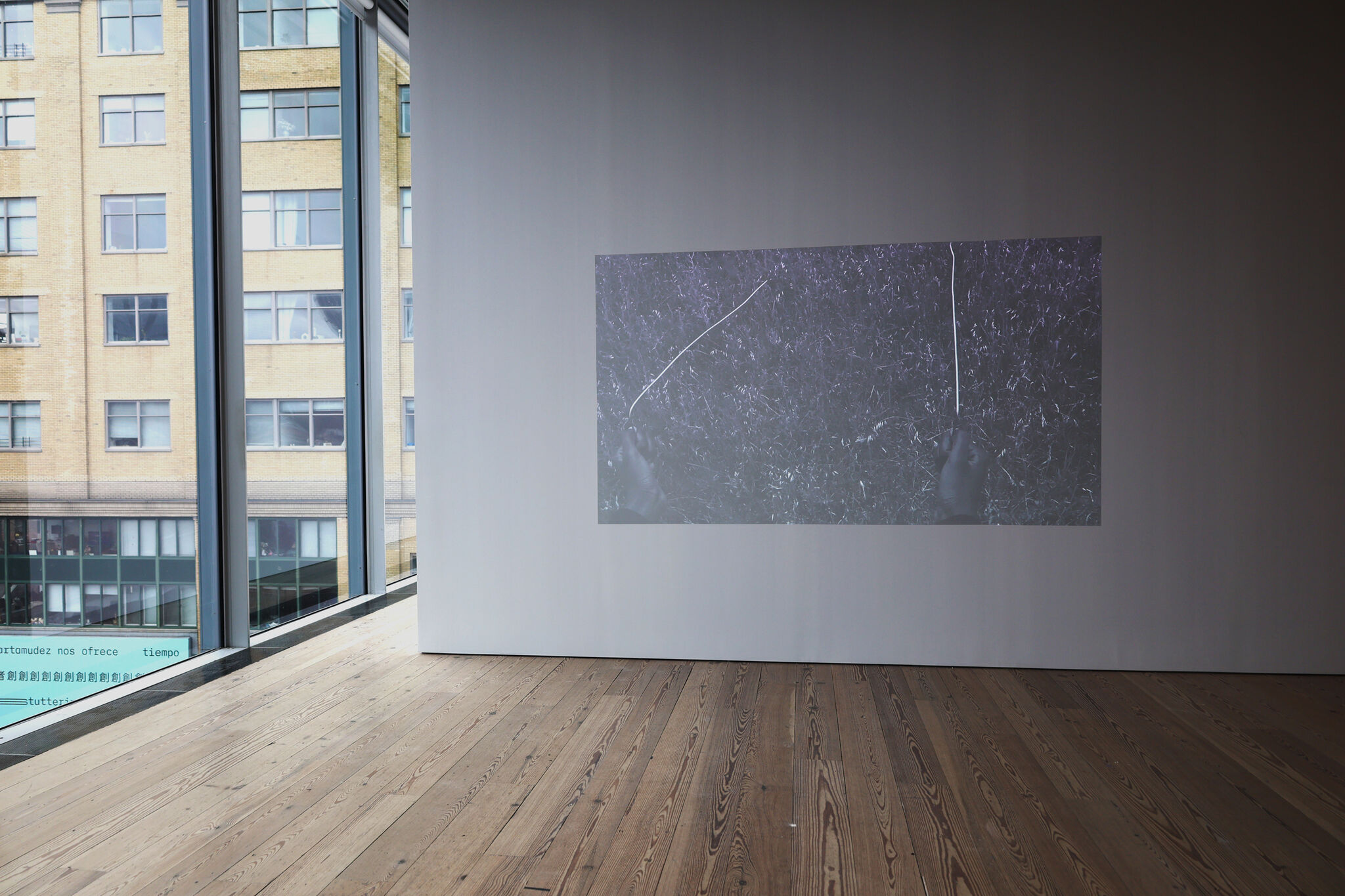 A modern gallery with wooden floors, featuring a video projection of hands holding strings against a grassy background. Large windows show a cityscape.