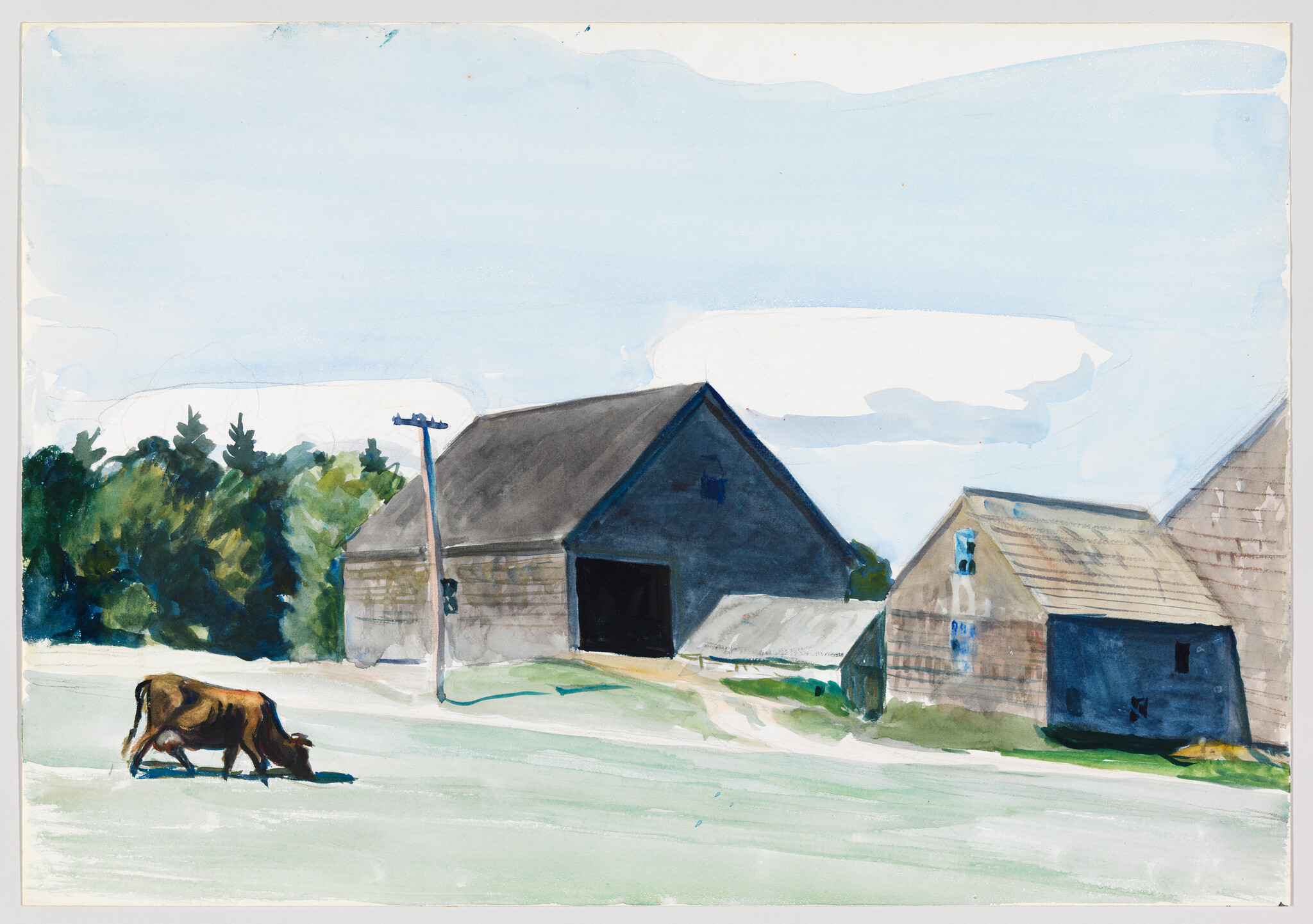A brown cow grazes on grass in front of several weathered barns under a blue sky.