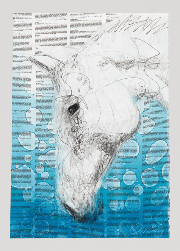 A sketch of a horse’s head overlaid on text and blue bubbles, with the horse facing downward.