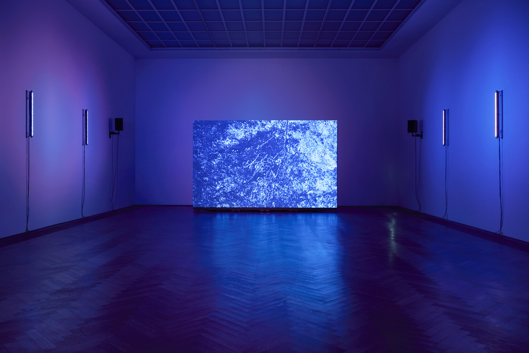Large screen showing a blue abstract pattern in a dark room with blue lights on the walls.