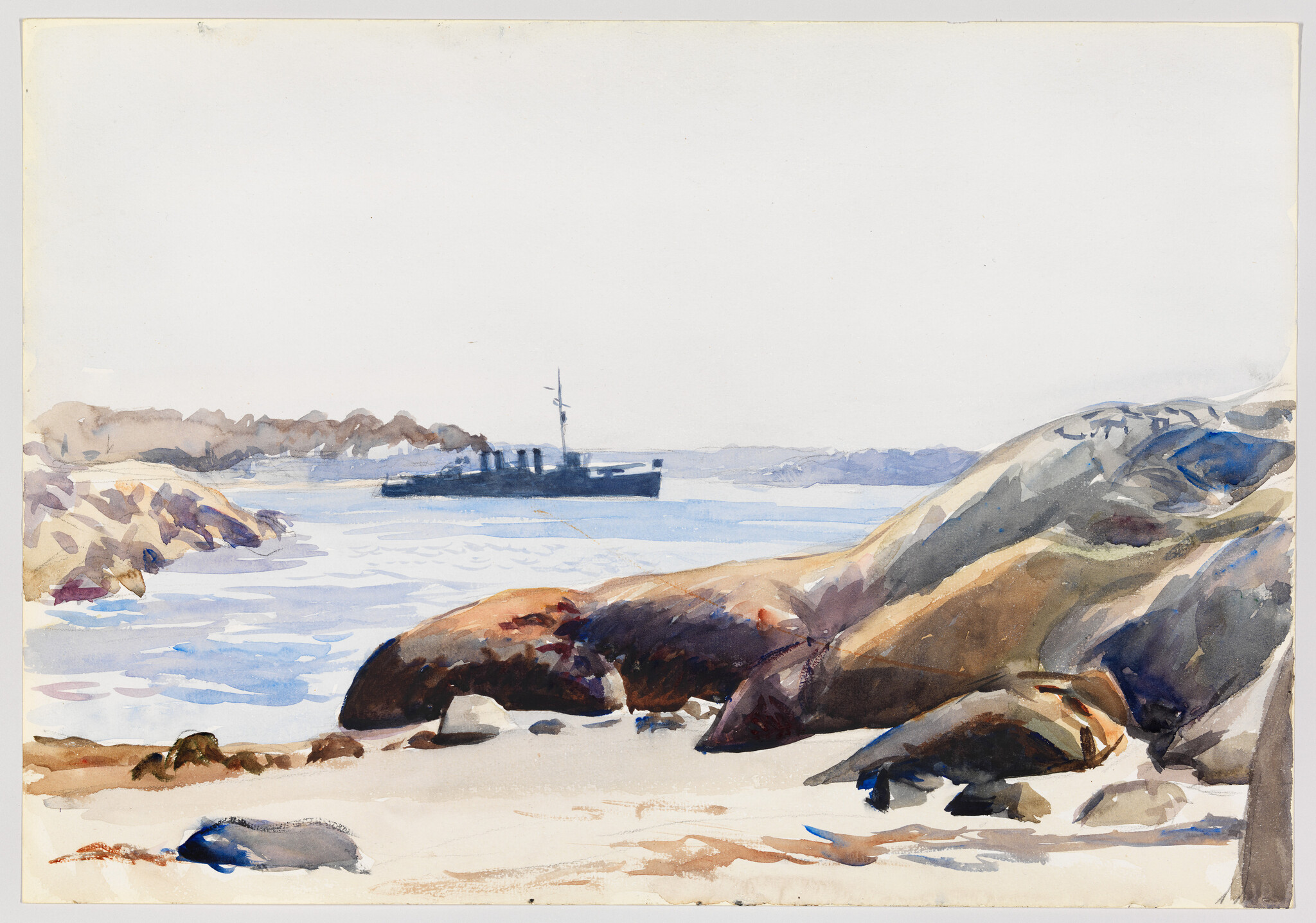 Seals rest on a sandy, rocky shore while a ship sails in the distant water.