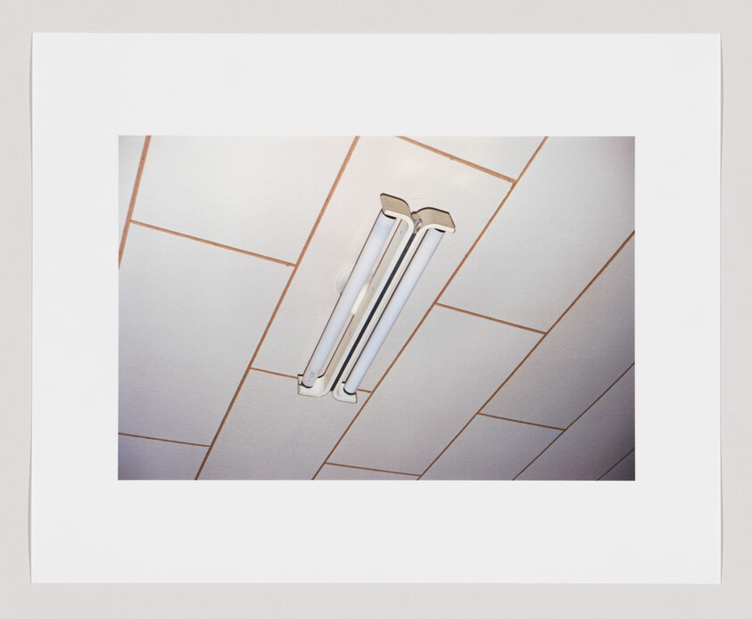 A fluorescent light fixture with two tubes is mounted on a white tiled ceiling with brown lines.