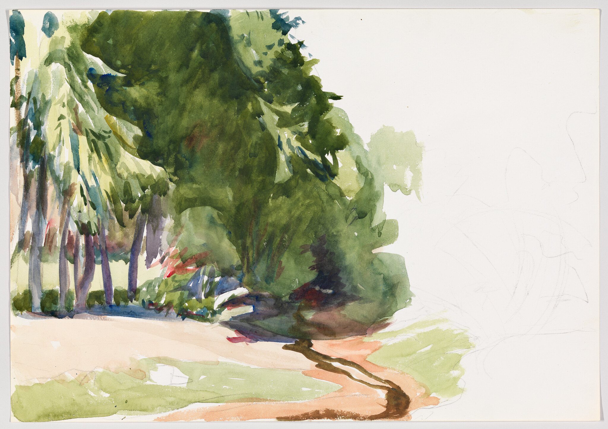 A watercolor scene of tall leafy trees beside a winding dirt path through green grass.