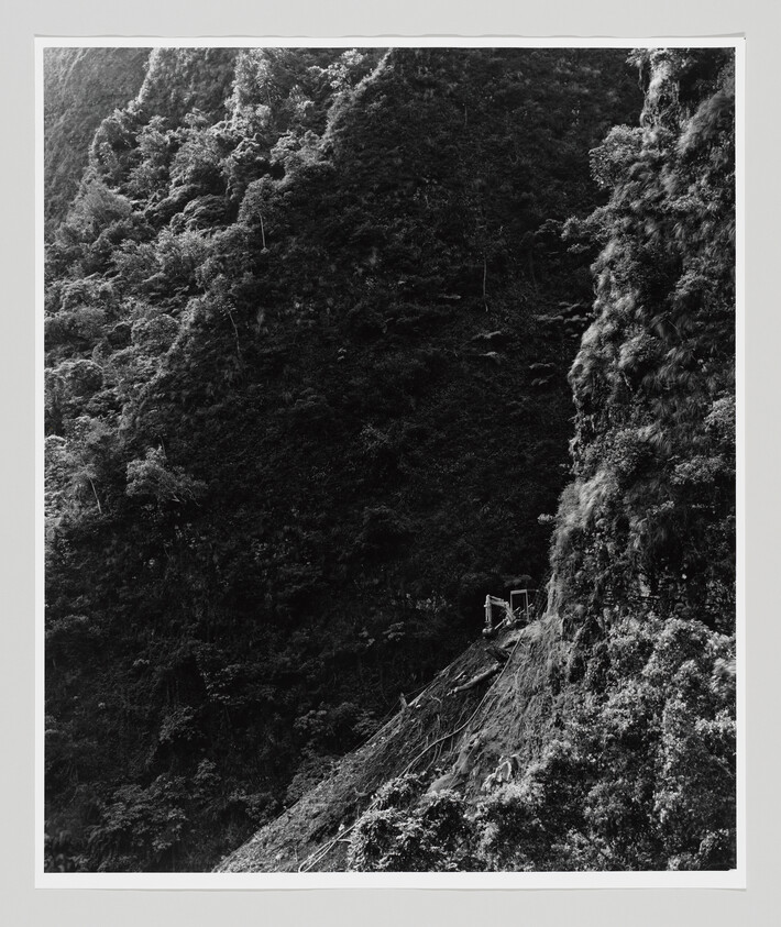 A small scaffolding and workers on a steep, heavily vegetated cliffside.