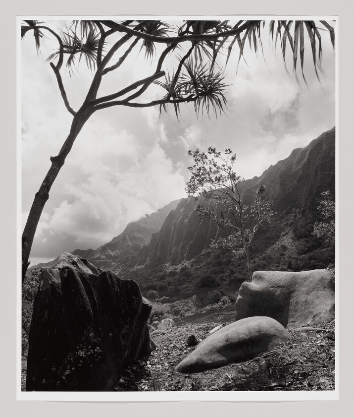 Rocky foreground and a twisted tree framing steep mountains under a cloudy sky.