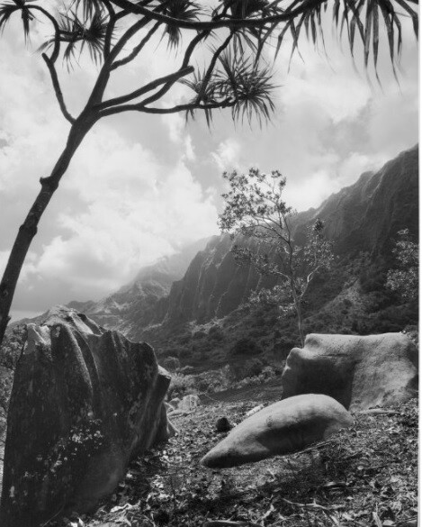 Rocky landscape with scattered trees and mountains in the background under a cloudy sky.