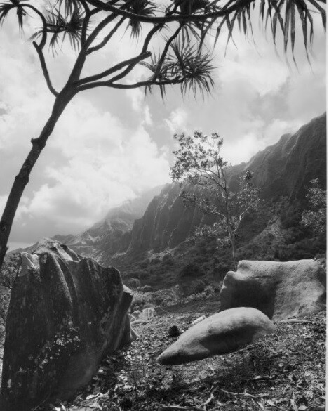 Rocky landscape with scattered trees and mountains in the background under a cloudy sky.