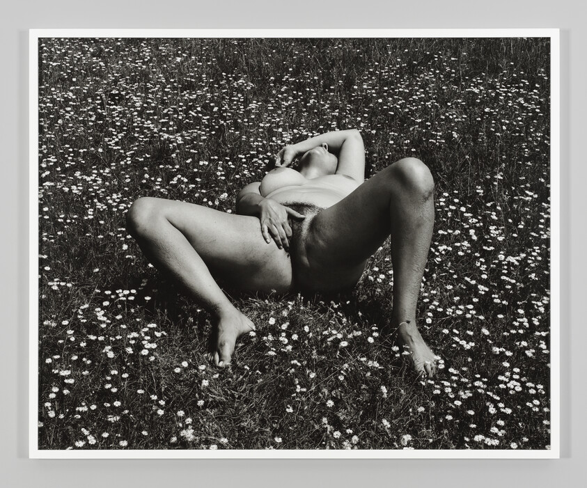 Naked person reclining in a field of small flowers with legs spread and hand on abdomen.