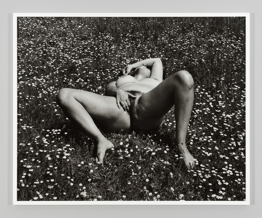 Naked person reclining in a field of small flowers with legs spread and hand near groin.