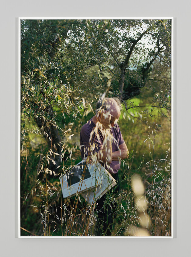 An older man stands among tall grasses under trees carrying a white box and looking down.