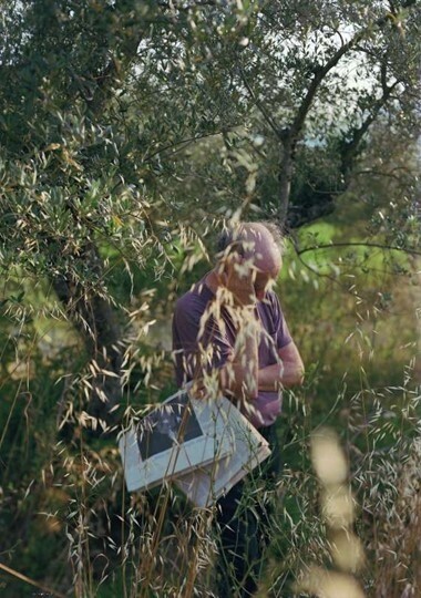 Man stands among tall grass and olive trees holding a white beehive box and looking down.
