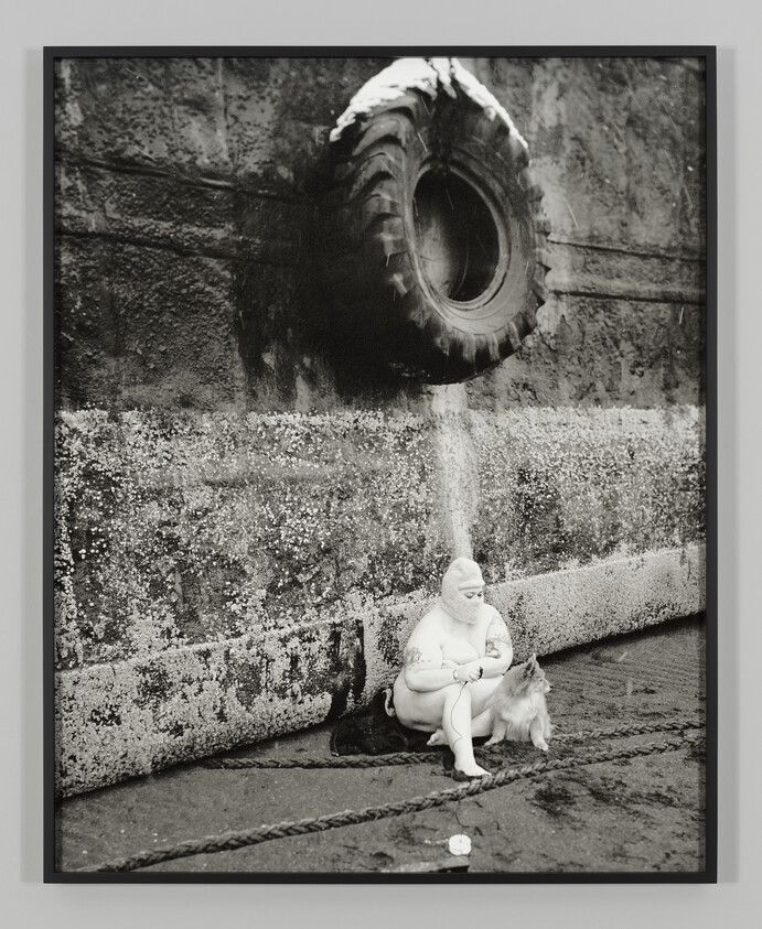 A person wearing a balaclava and minimal clothing sits against a dock wall with a small dog.