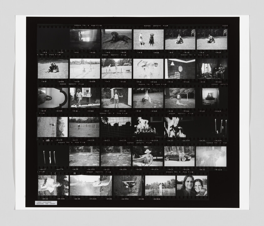A contact sheet with multiple black and white film photos, including dogs, people outdoors, and close-up portraits.