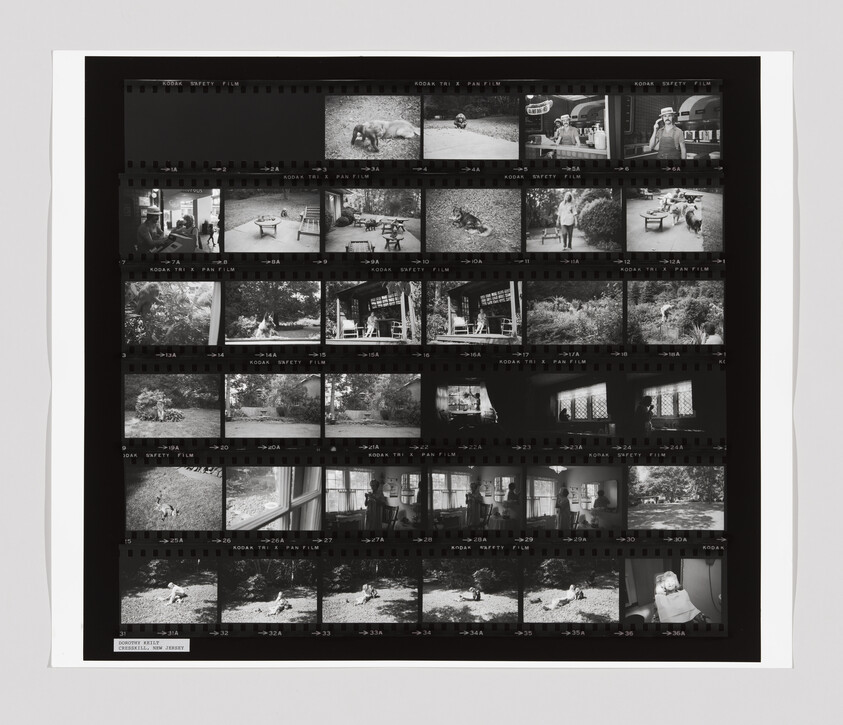 A contact sheet with multiple black and white photos showing people, dogs, and outdoor scenes in a yard.