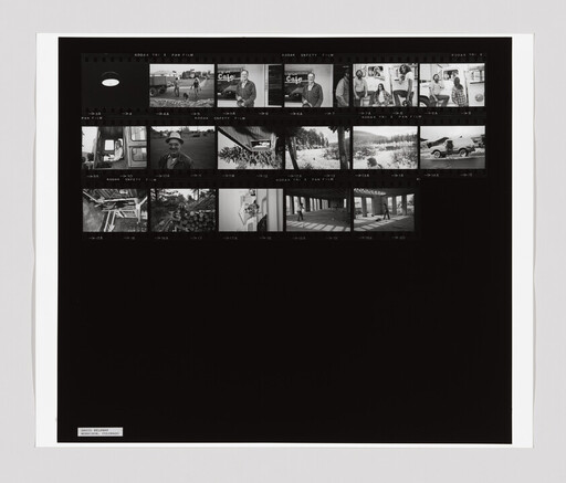 Black-and-white contact sheet showing rows of small negative thumbnails of people, vehicles, and landscapes.