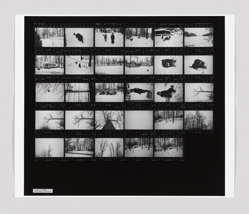 A contact sheet shows multiple black-and-white photos of snowy outdoor scenes, people, a dog, and trees.